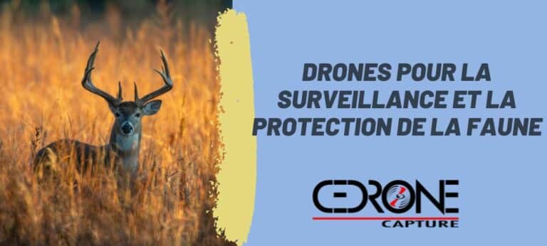 Lire la suite à propos de l’article L’utilisation de drones pour la surveillance et la protection de la faune